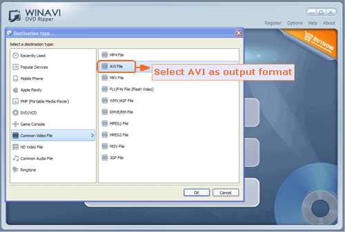 easily convert dvd files to avi