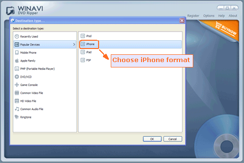 Load DVD file into program - screenshot