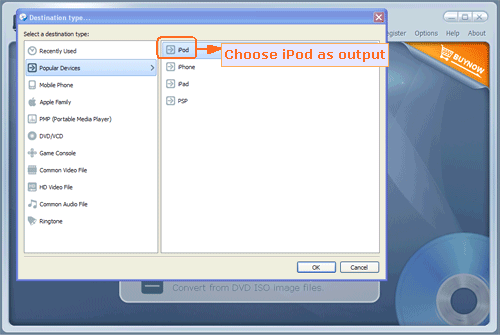 input DVD folder file to rip to ipod - screenshot