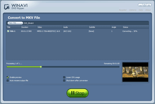 rip DVD to MKV - screenshot