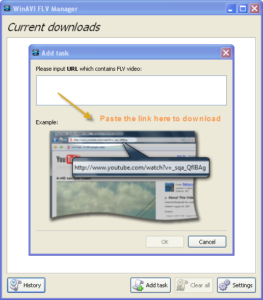flv converter for flv download from website - screenshot 
