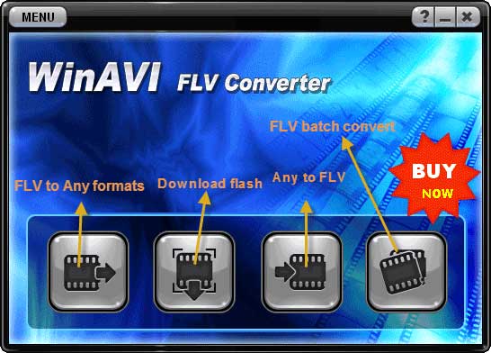 WinAVI flv converter interface - screenshot 