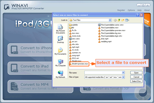 convert a file to MP4 - import screenshot