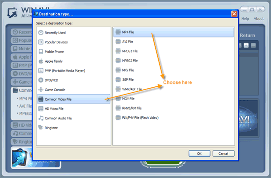 mnft file converter to mp4