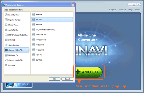 Load file to WinAVI program and set the output format - screenshot