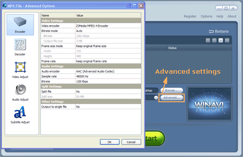 WinAVI All-In-One converter advanced settings - screenshot