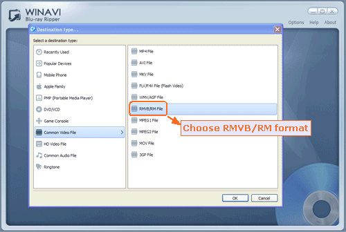 Advanced settings for ripping Bluray to RMVB/RM- screenshot