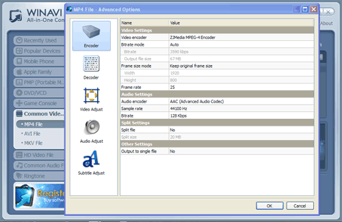 WinAVI All-In-One converter convert to mp4 advanced setting- screenshot