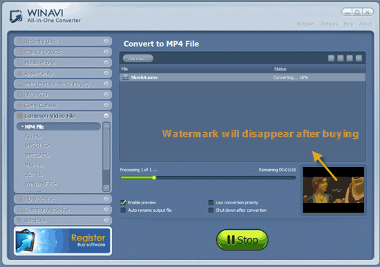 WinAVI All-In-One Video convert wmv to mp4 - screenshot